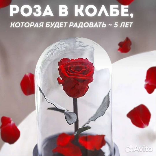 Живая роза в колбе VP,подарок