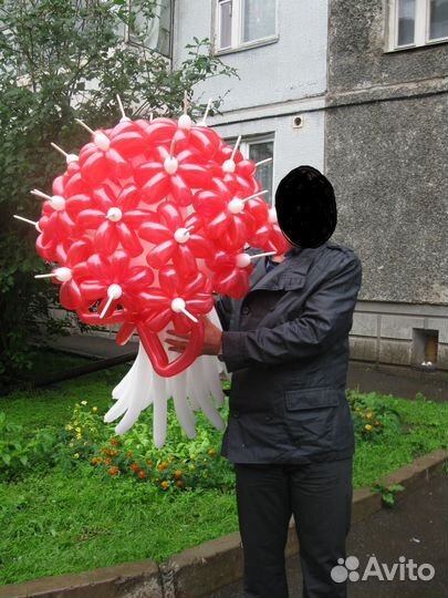 Воздушные шары (цветы)