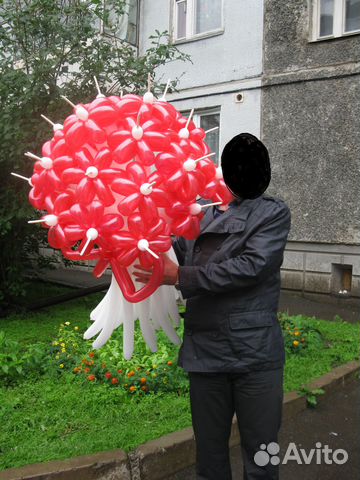 Воздушные шары (цветы)