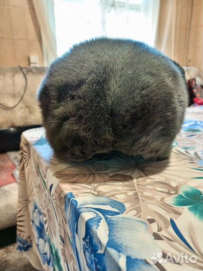 Шапка норковая женская