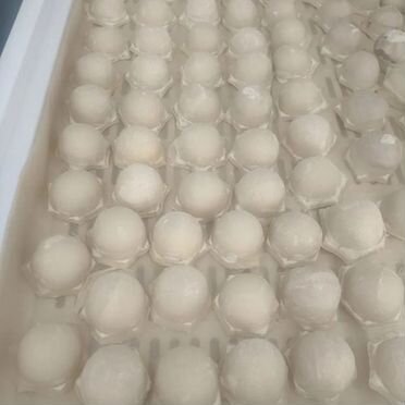 Домашние полуфабрикаты