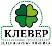 Ветеринарный врач