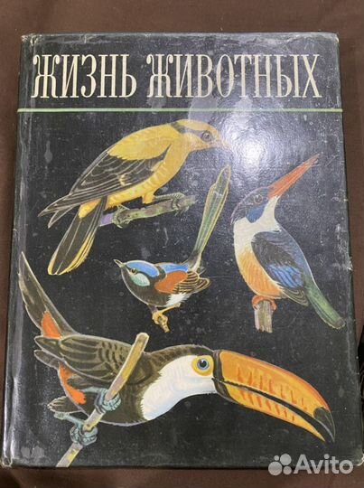 Книга энциклопедия Жизнь животных Птицы том 5
