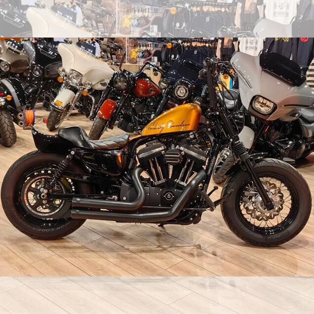 Harley-Davidson Forty-Eight, 2015, 18 420 км