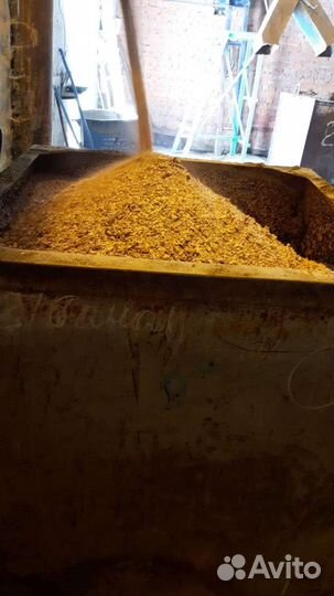 Скорлупа яичная термически обработанная