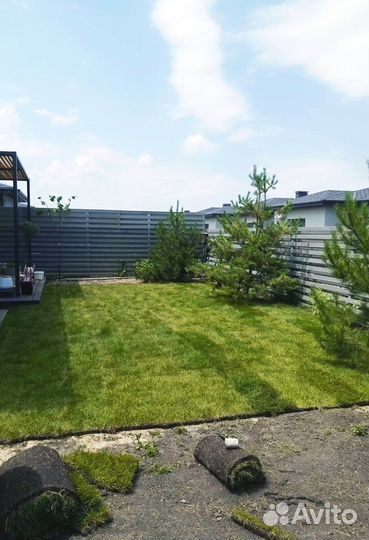 Рулонный газон под ключ