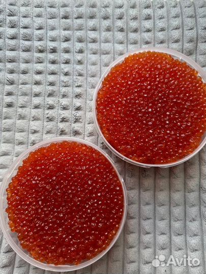 Красная икра
