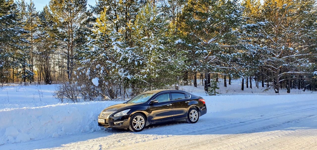 Nissan Teana: фото владельца