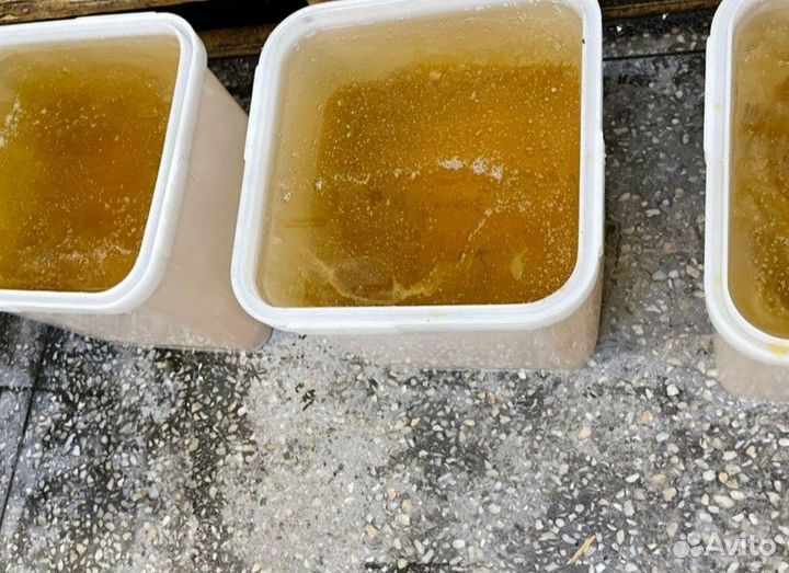 Мёд натуральный оптом