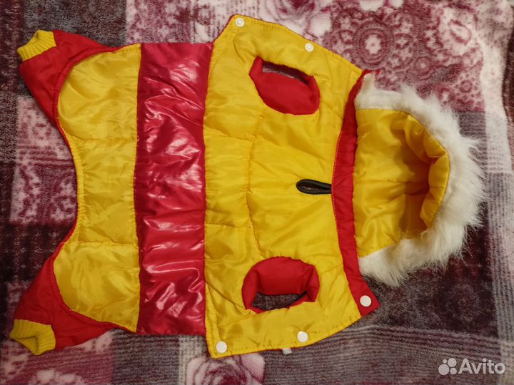 Одежда и обувь для маленькой собачки