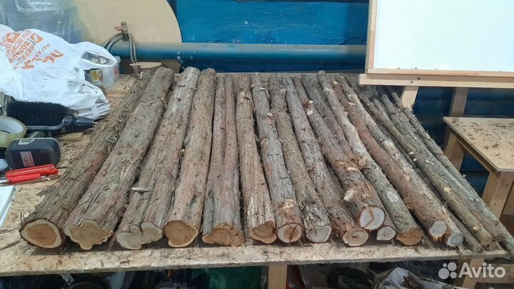 Можжевельник