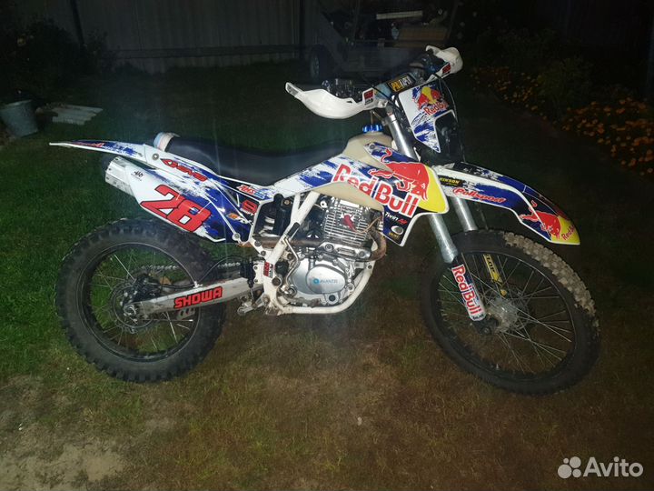 Avantis 250 fx lux