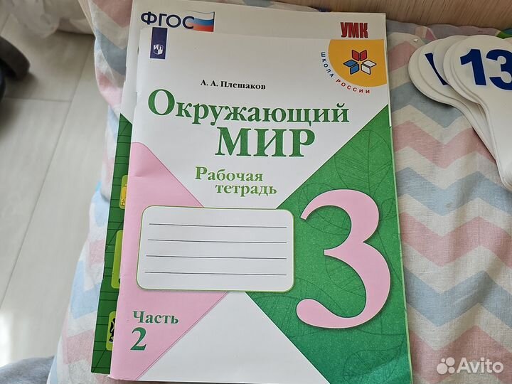 Тетради рабочие окружающий мир