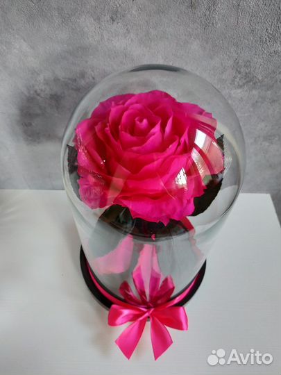 Роза в полбе от производителя