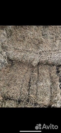 Сено люцерны в тюках