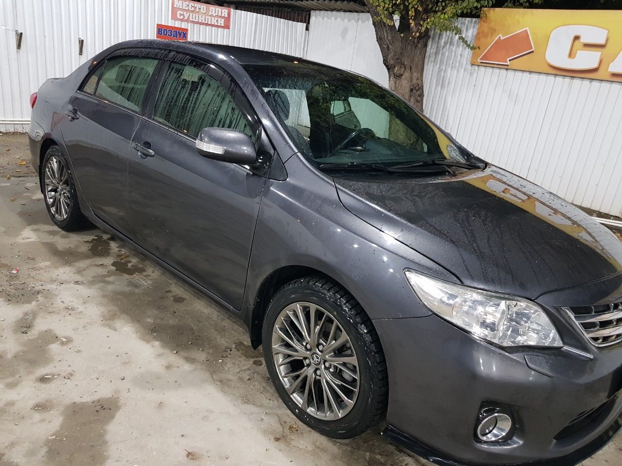 Toyota Corolla: фото владельца