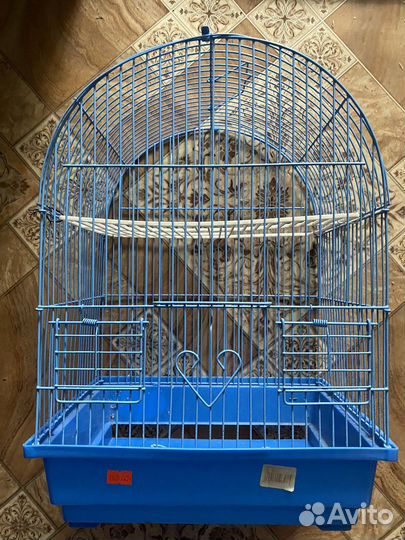 Клетка для грызунов