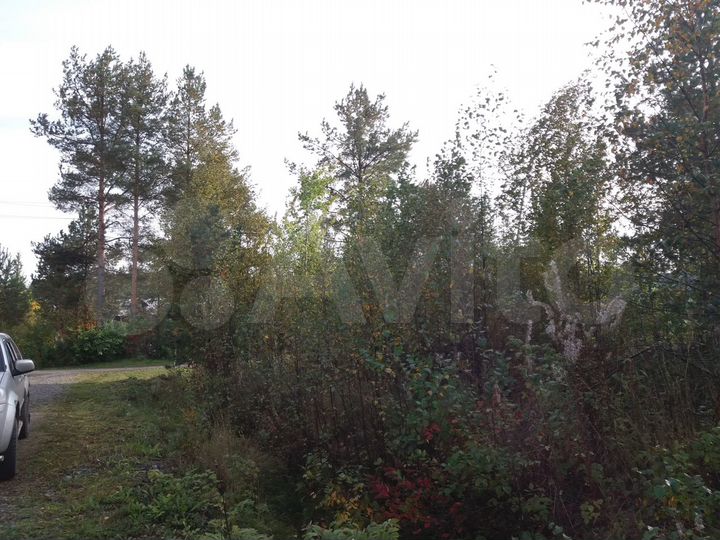 Участок 15 сот. (СНТ, ДНП)