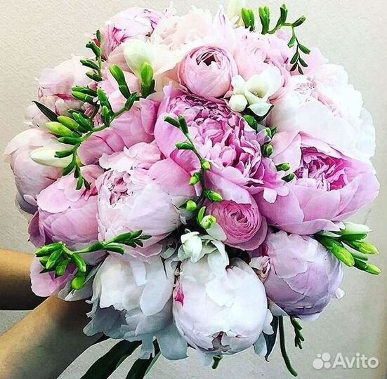 Пионы Букет пионов