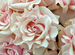 7 французских розовых роз