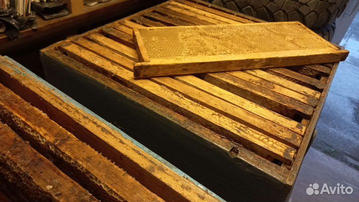 Сушь и Рамки для ульев