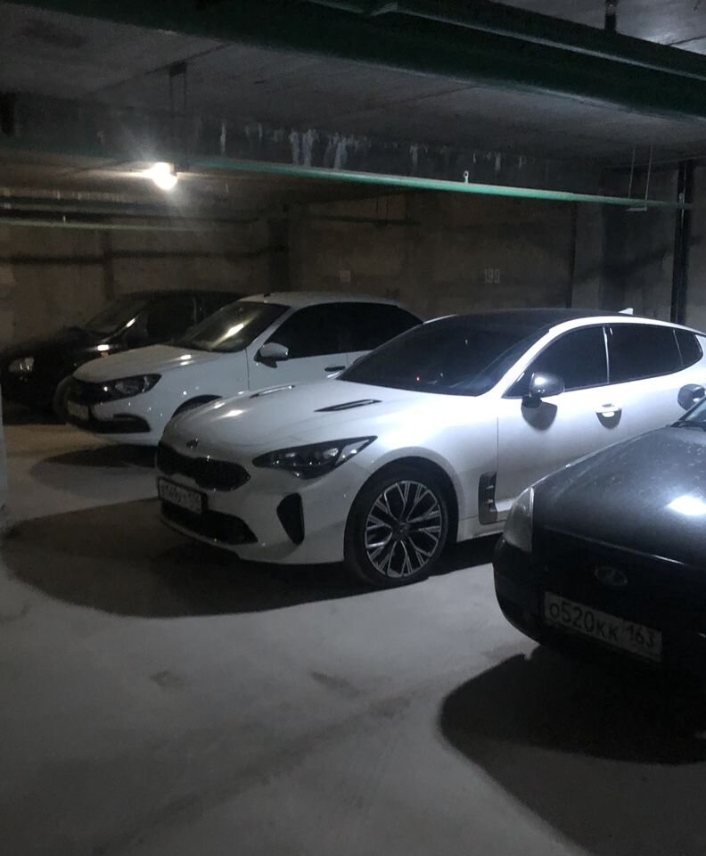 Kia Stinger: фото владельца