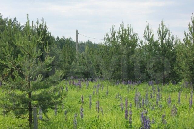 Участок 3 га (СНТ, ДНП)