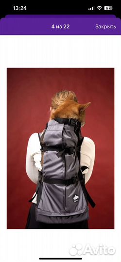 Рюкзак для собак