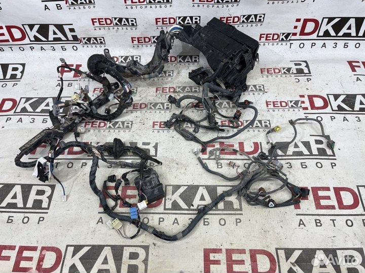 Проводка подкапотного пространства Toyota Corolla