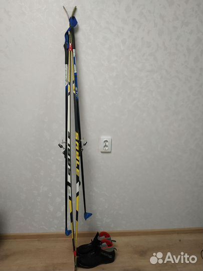 Беговые лыжи