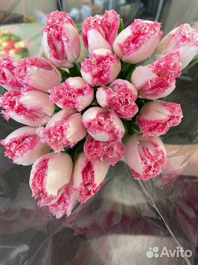 Тюльпаны оптом к 8 марта