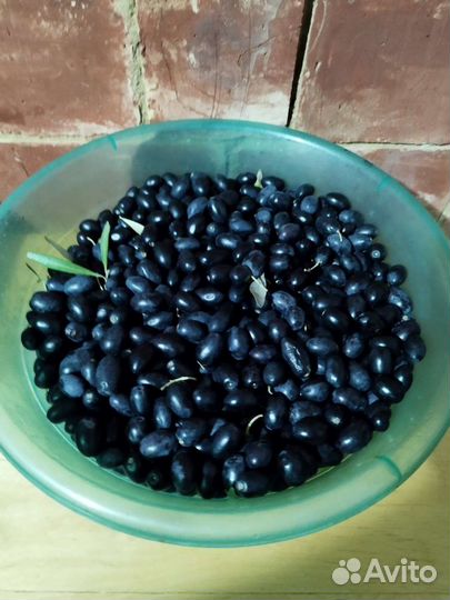 Дары полей,лесов,садов