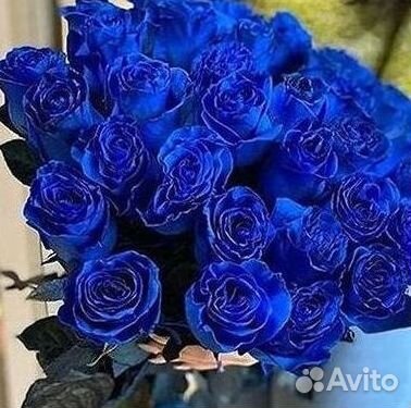 Синие розы Доставка цветов