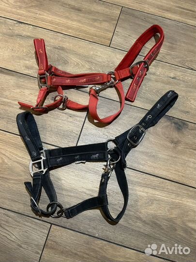 Уздечка с мексиканским капсулем cob