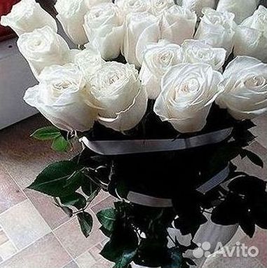 Розы Эквадор Метровые 100 см доставка Москва