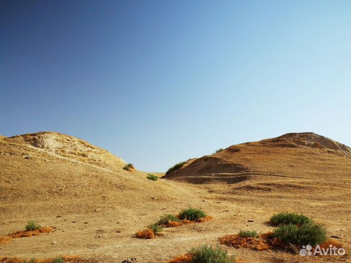 Экскурсия — Самарканд — Руины Афрасиаба ипамятники