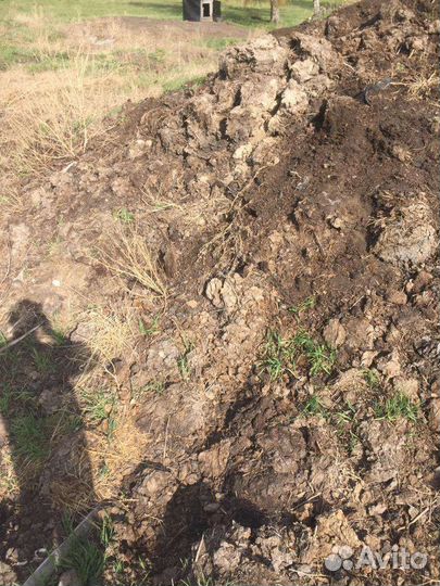 Навоз коровий перегной