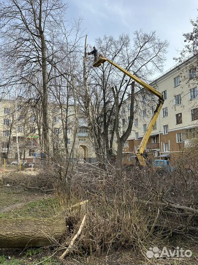 Опиловка спил деревьев, покос травы