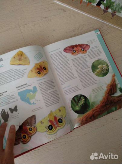 Детские книги 2ч