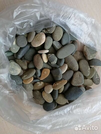 Аквариум круглый