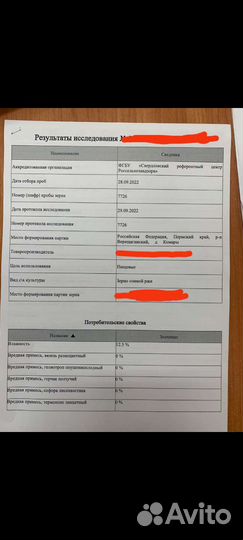 Зерно, рожь
