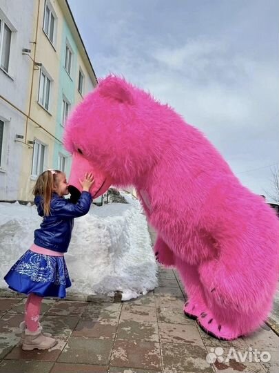 Поздравление от мишки. Сюрприз