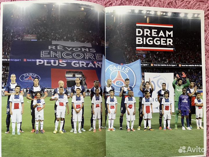 Официальная продукция Псж