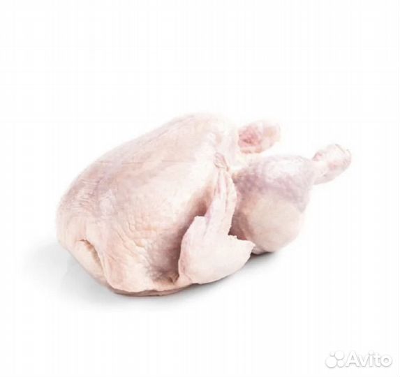 Цыплята бройлеры мясо