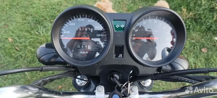 Мопед alpha rx110