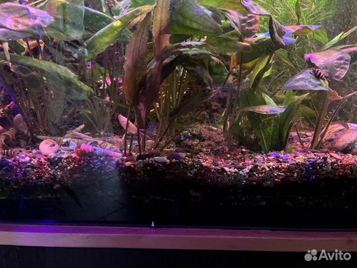 Аквариум на 400 литров