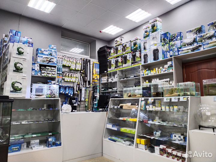 Крабы аквариумные - 11 видов - Аквасалон Дискус