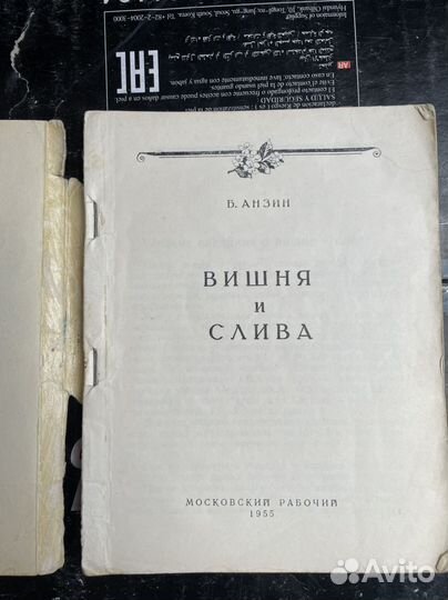 Анзин Б. Вишня и слива