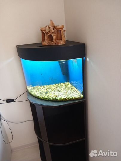 Аквариум