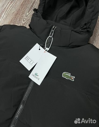 Куртка мужская Lacoste зимняя новая муж